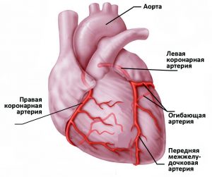 Инфаркт и гипотония