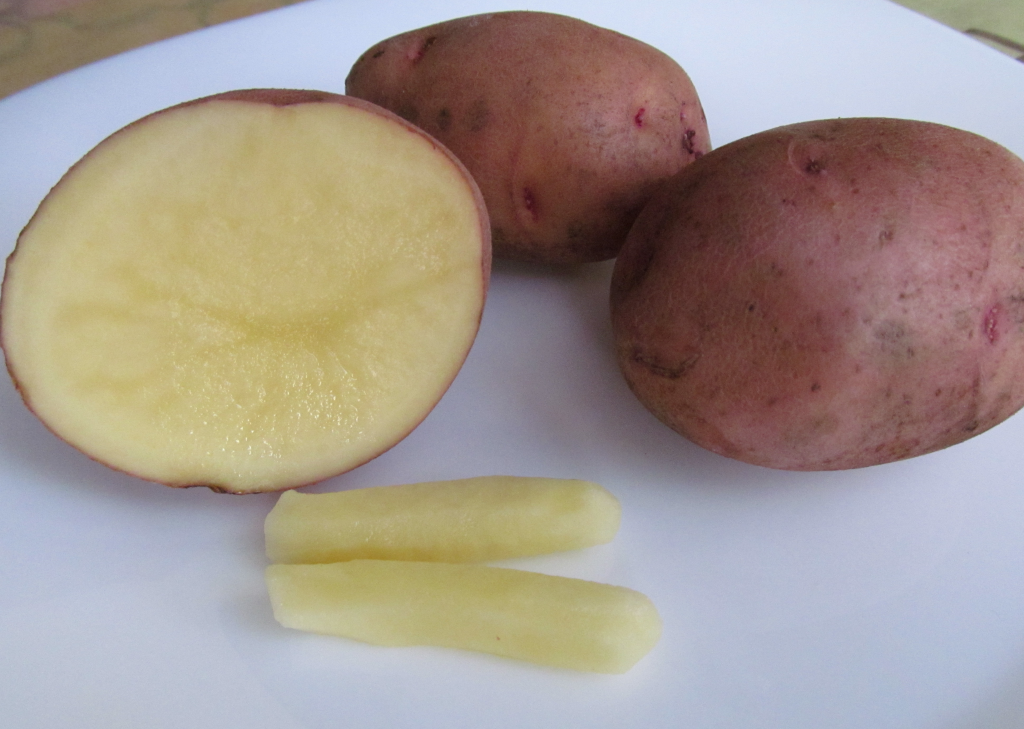 Лечение геморроя сырым картофелем