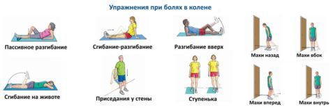 ЛФК при артрозе коленных суставов выполняется в разных положениях. За основу многих комплексов берется методика доктора Евдокименко.