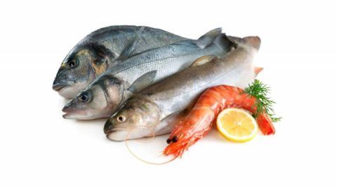 Морская рыба и морепродукты очень полезны при остеоартрозе