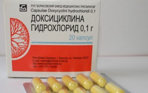 На фото упаковка Доксициклина Гидрохлорида 0,1 г. В коробке 20 капсул, выпущенных Борисовским заводом медицинских препаратов.