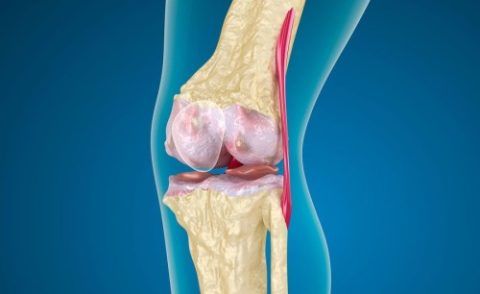 При контактном суставном остеомиелите первопричиной инфекционного процесса является близлежащий паточаг.