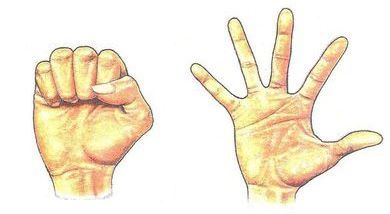 Сгибание-разгибание пальцев уменьшает явление застоя после травмы верхней конечности.