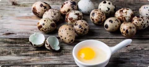 Скорлупа перепелиных яиц способствует укреплению как костной, так и хрящевой тканей.