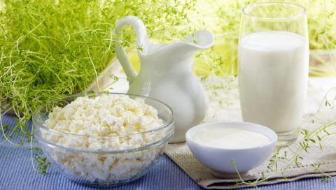 Свежие молочные и кисломолочные продукты укрепляют костную и хрящевую ткани.