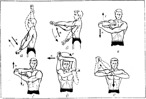 Упражнения при артрозе плеча